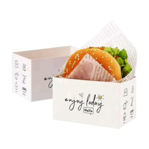 Fast Food Takeout Boxes